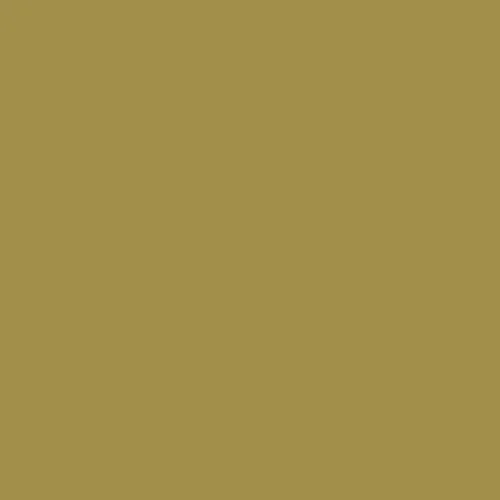 Image of RAL 090 60 40 Paint