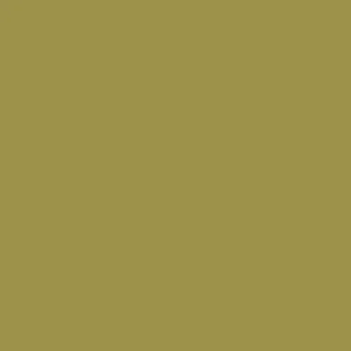 Image of RAL 095 60 40 Paint