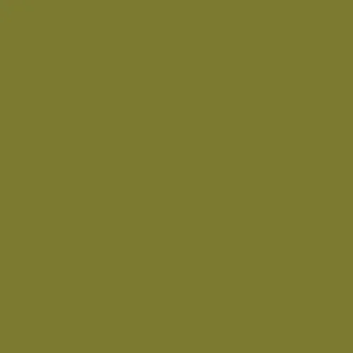 Image of RAL 100 50 40 Paint
