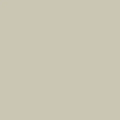 Image of RAL 100 80 10 Paint