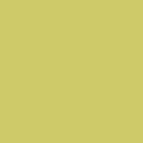Image of RAL 100 80 50 Paint