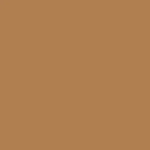 Image of RAL 1011 Brown Beige Paint