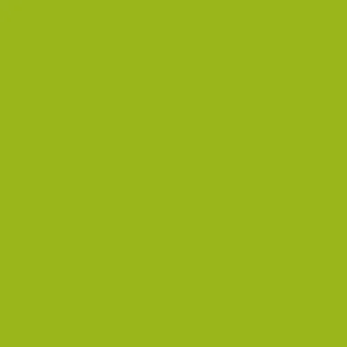 Image of RAL 110 70 70 Paint