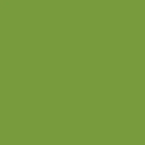 Image of RAL 120 60 50 Paint