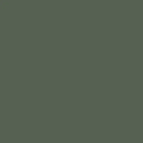 Image of RAL 130 40 10 Paint