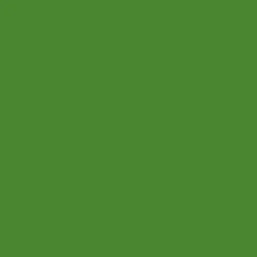 Image of RAL 130 50 50 Paint