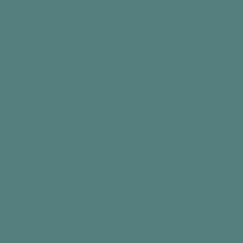 Image of RAL 200 50 15 Paint