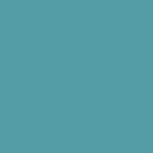 Image of RAL 210 60 25 Paint