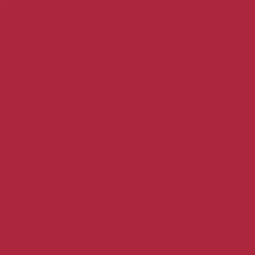 Image of RAL 3027 Raspberry Red Paint