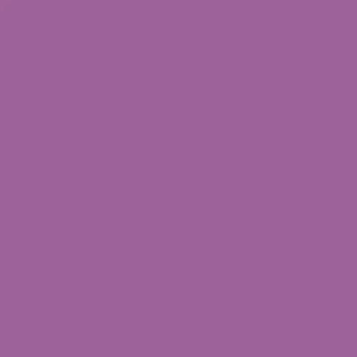 Image of RAL 330 50 35 Paint