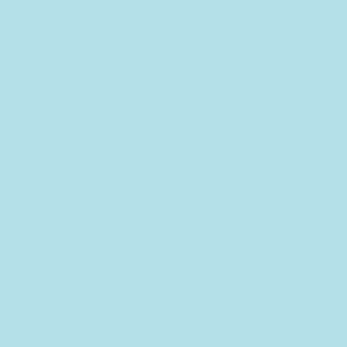Image of Ncs S 0520-b10g Paint