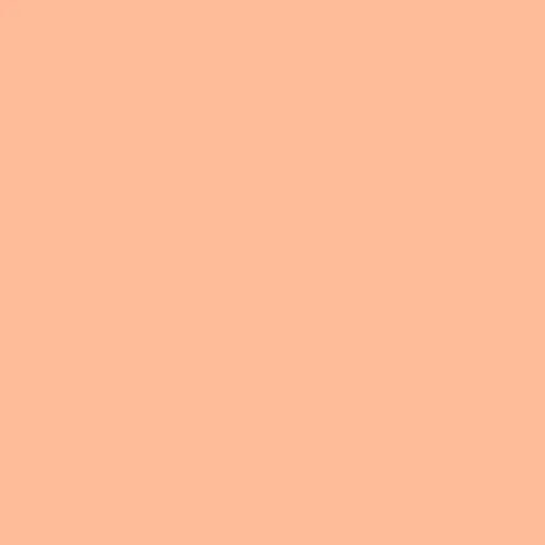 Image of Ncs S 0530-y60r Paint