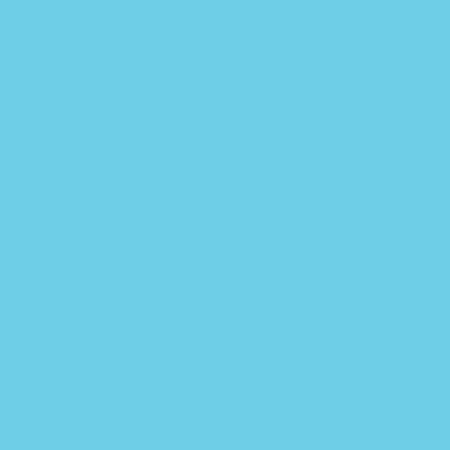Image of Ncs S 0540-b10g Paint