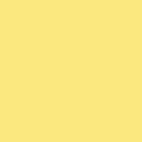 Image of Ncs S 0540-g90y Paint