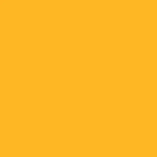 Image of Ncs S 0570-y20r Paint