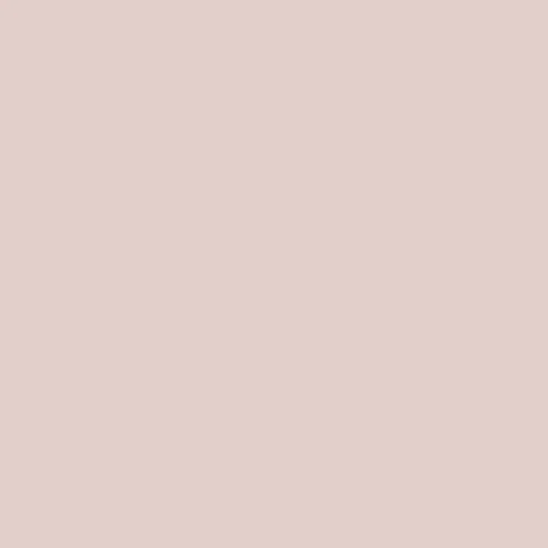 Image of Ncs S 1010-r Paint