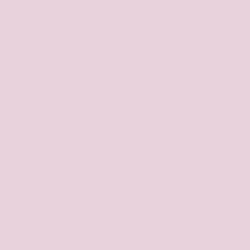 Image of Ncs S 1010-r30b Paint