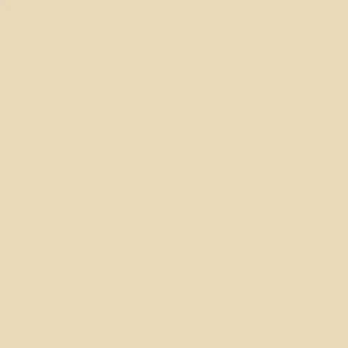 Image of Ncs S 1010-y30r Paint