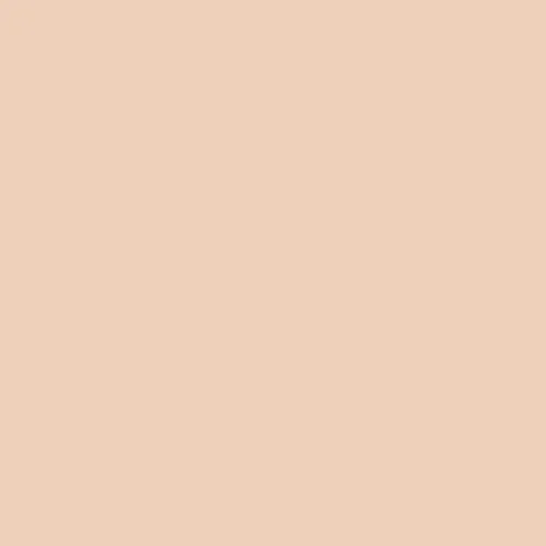 Image of Ncs S 1010-y50r Paint