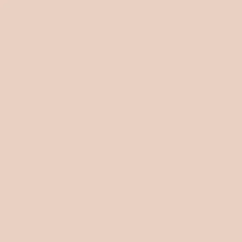 Image of Ncs S 1010-y60r Paint