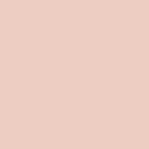 Image of Ncs S 1010-y70r Paint
