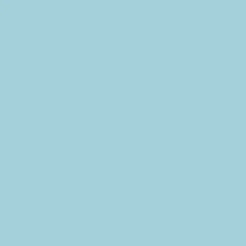 Image of Ncs S 1020-b10g Paint