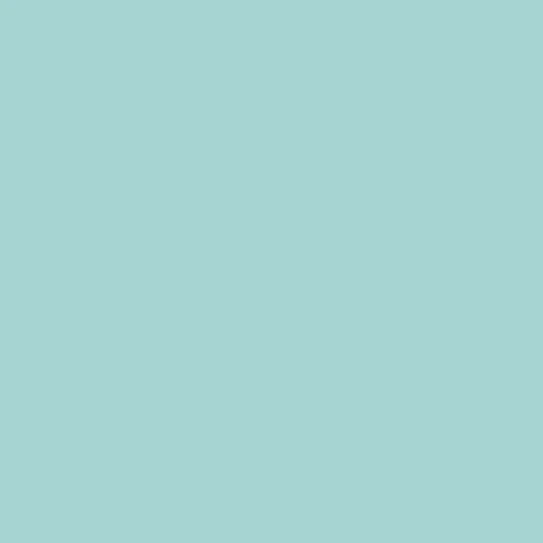 Image of Ncs S 1020-b50g Paint