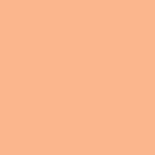 Image of Ncs S 1030-y50r Paint