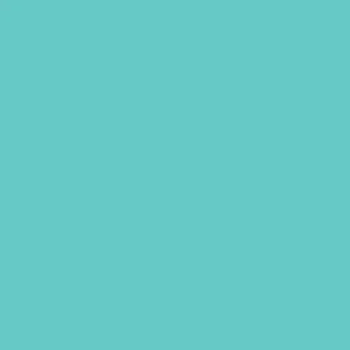Image of Ncs S 1040-b60g Paint
