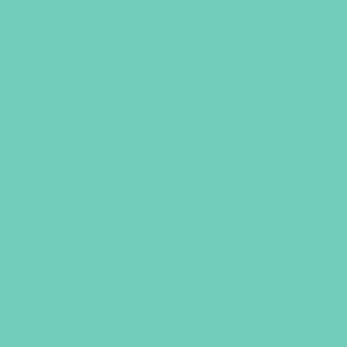 Image of Ncs S 1040-b80g Paint