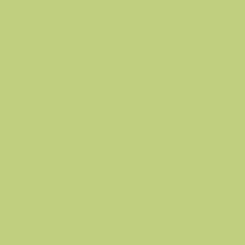 Image of Ncs S 1040-g50y Paint