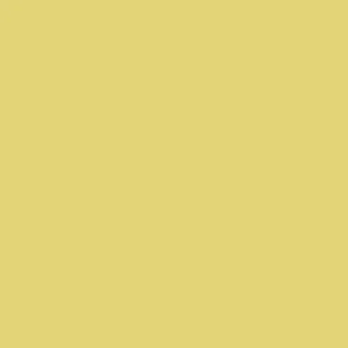 Image of Ncs S 1040-g90y Paint