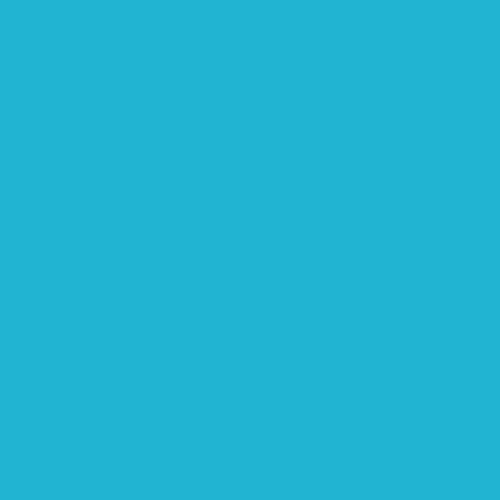 Image of Ncs S 1050-b10g Paint