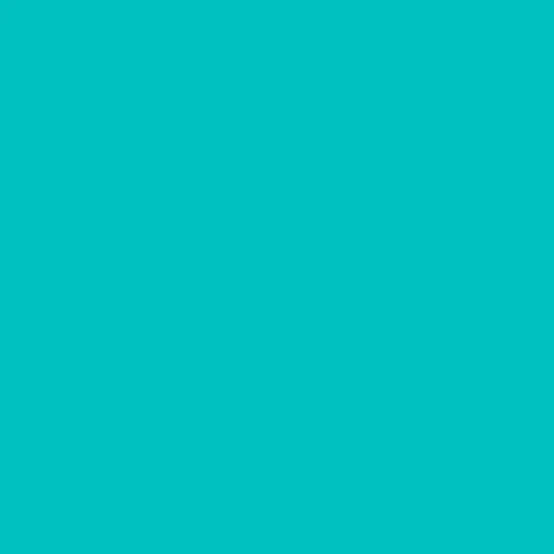 Image of Ncs S 1050-b50g Paint