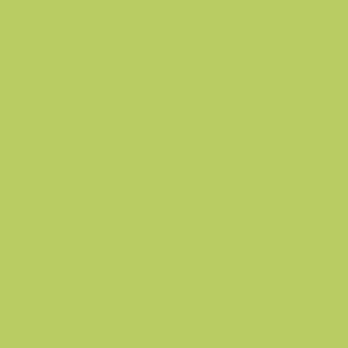 Image of Ncs S 1050-g50y Paint