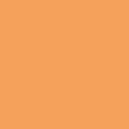Image of Ncs S 1050-y40r Paint