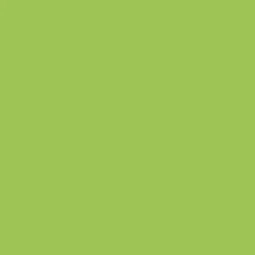 Image of Ncs S 1060-g40y Paint
