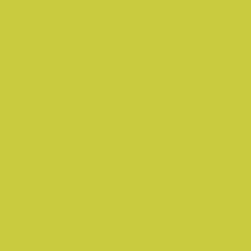 Image of Ncs S 1060-g70y Paint