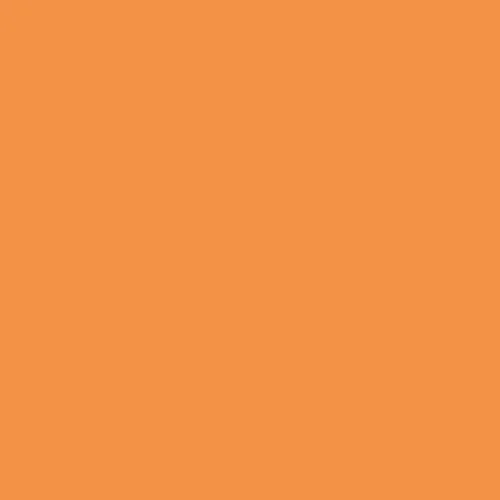 Image of Ncs S 1060-y40r Paint
