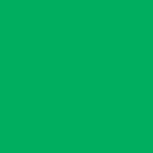 Image of Ncs S 1070-g10y Paint