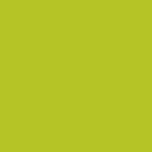Image of Ncs S 1070-g60y Paint