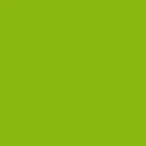 Image of Ncs S 1075-g40y Paint