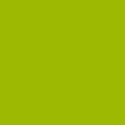 Image of Ncs S 1075-g50y Paint