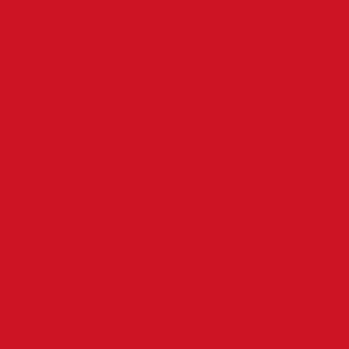 Image of Ncs S 1085-y90r Paint