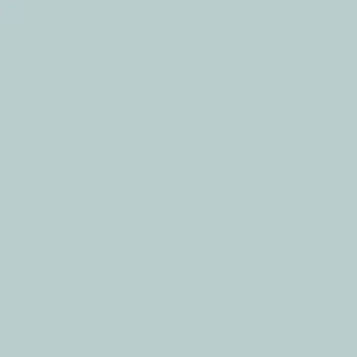 Image of Ncs S 1510-b50g Paint