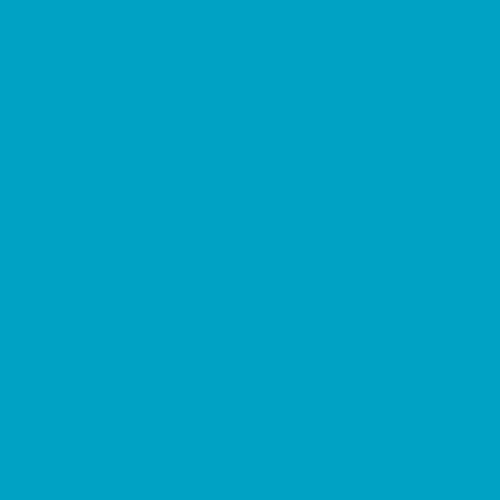 Image of Ncs S 1555-b10g Paint