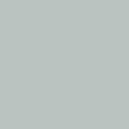 Image of Ncs S 2005-b80g Paint