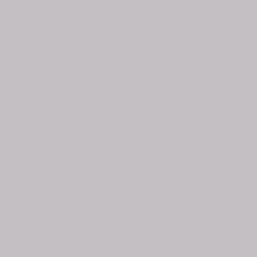 Image of Ncs S 2005-r40b Paint