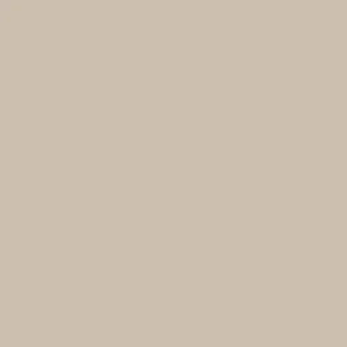 Image of Ncs S 2005-y40r Paint