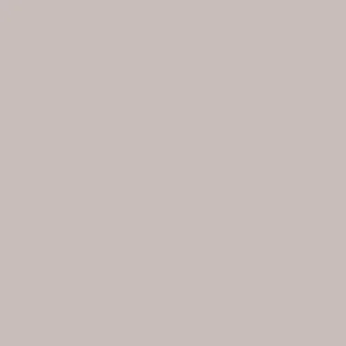 Image of Ncs S 2005-y90r Paint